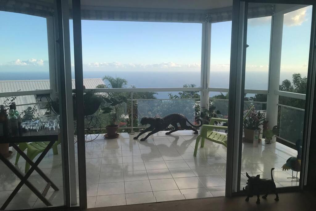 St Leu -Villa D'Artiste, Superbe Vue Mer, Piscine Chauffee Saint-Leu Εξωτερικό φωτογραφία